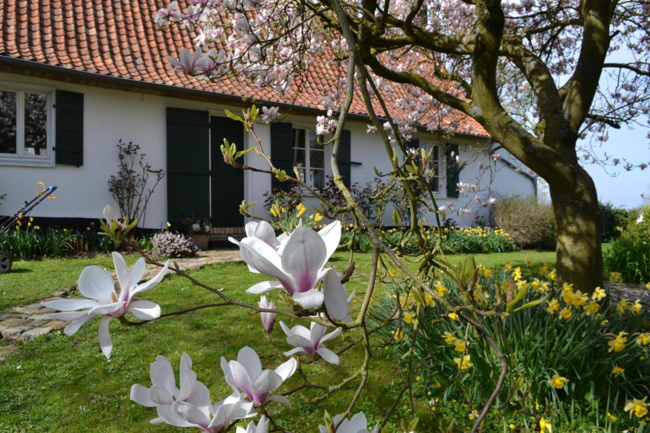 La Longere D'Ecottes Bed & Breakfast Licques Exterior photo